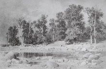 Репродукция картины "дубовая роща петра великого на берегу залива в сестрорецке" художника "шишкин иван"