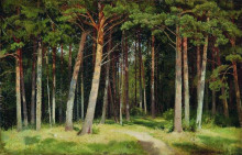 Репродукция картины "сосновый лес" художника "шишкин иван"
