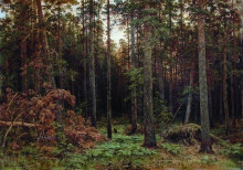 Картина "сосновый лес" художника "шишкин иван"