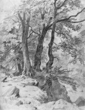 Репродукция картины "в лесу" художника "шишкин иван"