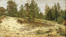Копия картины "молодые сосенки у песчаного обрыва. мери-хови по финляндской железной дороге" художника "шишкин иван"