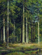 Репродукция картины "еловый лес" художника "шишкин иван"