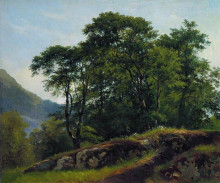 Репродукция картины "буковый лес в швейцарии" художника "шишкин иван"