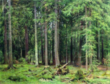 Репродукция картины "лес в мордвинове" художника "шишкин иван"