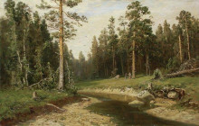 Копия картины "корабельный лес" художника "шишкин иван"