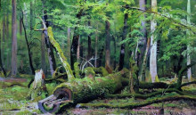 Репродукция картины "срубленный дуб в беловежской пуще" художника "шишкин иван"