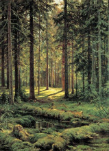 Репродукция картины "хвойный лес. солнечный день" художника "шишкин иван"