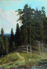 Репродукция картины "лес с горы" художника "шишкин иван"