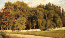 Копия картины "лес за оградой" художника "шишкин иван"