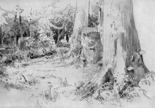 Репродукция картины "вырубленный лес" художника "шишкин иван"
