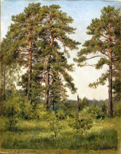 Копия картины "опушка соснового леса" художника "шишкин иван"