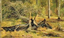 Копия картины "упавшее дерево. сиверская" художника "шишкин иван"