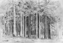 Репродукция картины "лес" художника "шишкин иван"