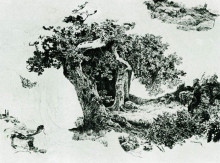 Репродукция картины "группа лиственных деревьев и камни" художника "шишкин иван"