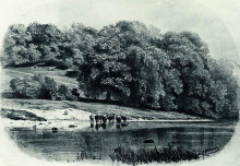 Репродукция картины "стадо на берегу реки" художника "шишкин иван"