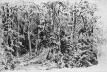 Копия картины "в лиственном лесу" художника "шишкин иван"