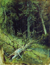 Репродукция картины "в еловом лесу" художника "шишкин иван"