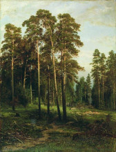 Репродукция картины "сосновый лес" художника "шишкин иван"