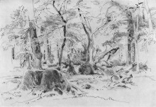 Копия картины "спиленное дерево" художника "шишкин иван"