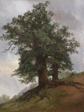 Копия картины "старый дуб" художника "шишкин иван"