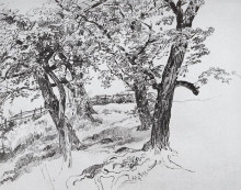 Репродукция картины "деревья" художника "шишкин иван"