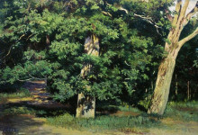 Копия картины "деревья" художника "шишкин иван"