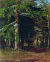 Репродукция картины "этюд к картине &quot;рубка леса&quot;" художника "шишкин иван"