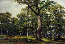 Репродукция картины "дубовый лес" художника "шишкин иван"