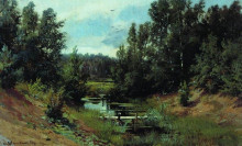 Картина "лесной ручей (чернолесье)" художника "шишкин иван"
