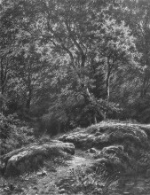 Репродукция картины "дорожка в лесу" художника "шишкин иван"