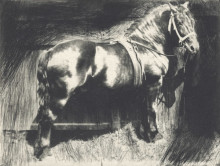 Копия картины "the horse" художника "юджин фрэнк"