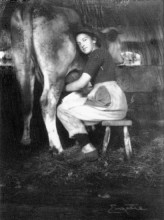 Картина "woman milking cow" художника "юджин фрэнк"