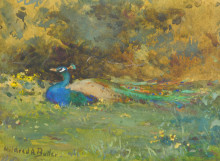 Репродукция картины "peacock in a garden" художника "батлер милдред аннэ"