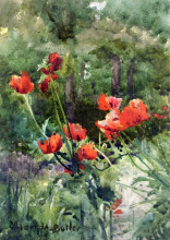 Репродукция картины "garden poppies" художника "батлер милдред аннэ"