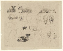 Репродукция картины "studies of sheep" художника "чарльз джеймс"