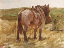 Репродукция картины "horse" художника "чарльз джеймс"