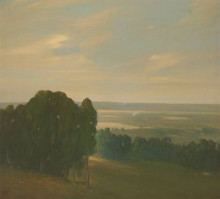 Репродукция картины "eucalyptus grove in a vast landscape" художника "мартинез хавьер"