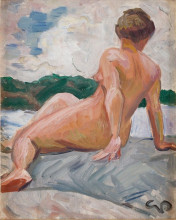 Копия картины "model on the cliff" художника "паули георг"
