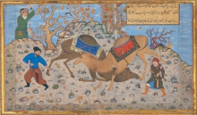 Копия картины "two camels fighting" художника "бехзад кемаледдин"