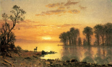 Картина "sunset, deer, and river" художника "бирштадт альберт"