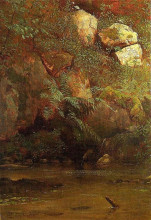 Копия картины "ferns and rocks on an embankment" художника "бирштадт альберт"