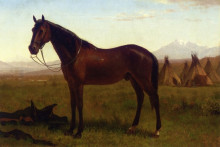 Репродукция картины "portrait of a horse" художника "бирштадт альберт"