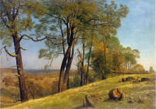 Копия картины "landscape, rockland county, california" художника "бирштадт альберт"