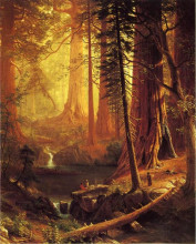 Репродукция картины "giant redwood trees of california" художника "бирштадт альберт"