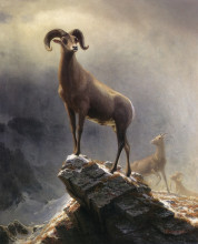 Репродукция картины "rocky mountain sheep" художника "бирштадт альберт"