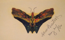 Репродукция картины "butterfly (second version)" художника "бирштадт альберт"