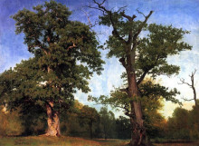 Копия картины "pioneers of the woods" художника "бирштадт альберт"