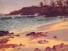 Репродукция картины "bahama cove" художника "бирштадт альберт"