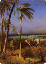 Репродукция картины "bahamian view" художника "бирштадт альберт"