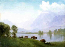 Репродукция картины "buffalo country" художника "бирштадт альберт"